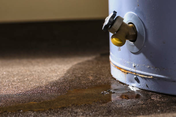 Best Carpet water damage restoration  in Camn, DE