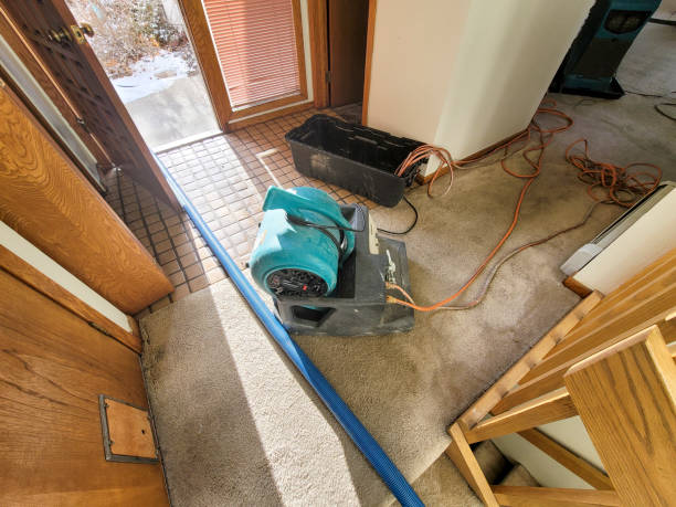 Best 24-hour water damage restoration  in Camn, DE
